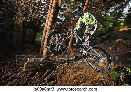 Stock Image - Mountain biker mid air above forest path. Fotosearch