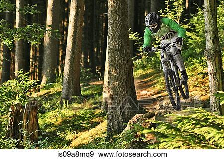 Stock Photo - Mountain biker riding off track through forest. Fotosearch
