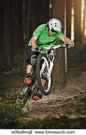 Mountain biker riding on back wheel through forest View Large Photo Image Stock Photo - Mountain biker riding on back wheel through forest. Fotosearch