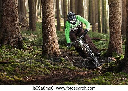Mountain biker riding through trees View Large Photo Image Stock Photograph - Mountain biker riding through trees. Fotosearch