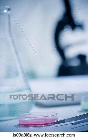 Stock Photo - Petri dish and conical flask, close up. Fotosearch