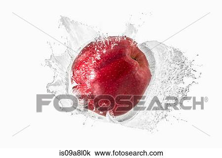 Red apple splashing in liquid View Large Photo Image Stock Image - Red apple splashing in liquid. Fotosearch