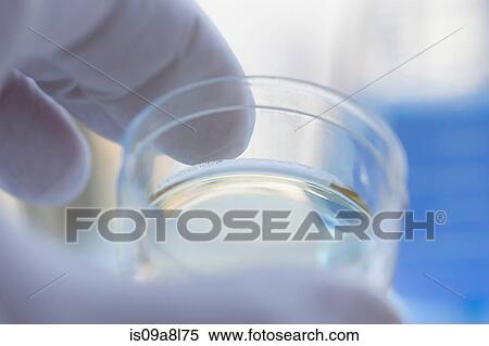 Stock Photography - Scientist with liquid sample in container. Fotosearch