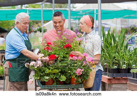 Picture - Senior gardener serving mature man and mid adult woman in garden centre. Fotosearch