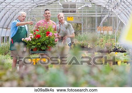 Senior gardener serving mature man and mid adult woman in garden centre View Large Photo Image Stock Photograph - Senior gardener serving mature man and mid adult woman in garden centre. Fotosearch