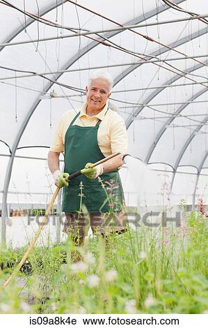 Stock Image - Senior man watering plants in garden centre. Fotosearch