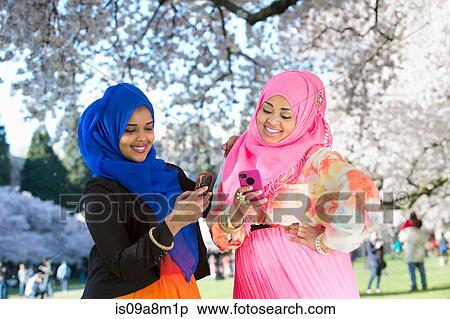 Two female friends in park checking mobile phones View Large Photo Image Stock Photography - Two female friends in park checking mobile phones. Fotosearch
