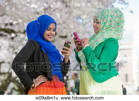 Two young females in park looking at their mobile phones View Large Photo Image Stock Photograph - Two young females in park looking at their mobile phones. Fotosearch