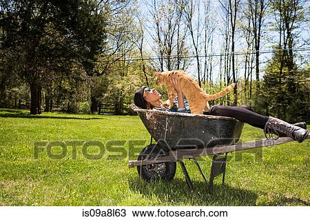 Woman in wheelbarrow holding ginger cat View Large Photo Image Stock Image - Woman in wheelbarrow holding ginger cat. Fotosearch
