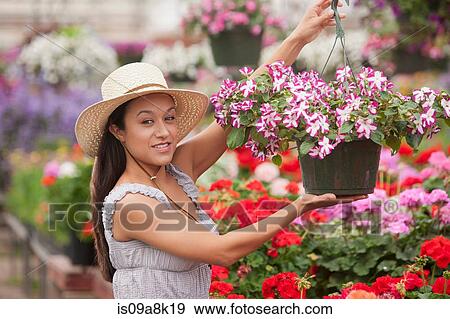 Young woman holding flowers in garden centre, portrait View Large Photo Image Stock Photo - Young woman holding flowers in garden centre, portrait. Fotosearch