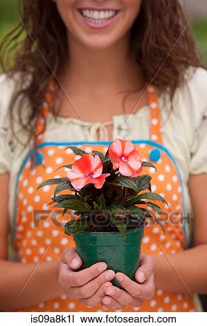Young woman holding plant in garden centre, mid section View Large Photo Image Stock Image - Young woman holding plant in garden centre, mid section. Fotosearch