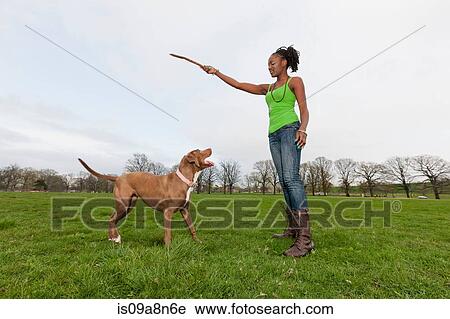 Young woman in park holding up stick for dog View Large Photo Image Stock Image - Young woman in park holding up stick for dog. Fotosearch