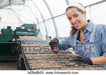 Young woman planting seeds in garden centre, portrait View Large Photo Image Stock Photography - Young woman planting seeds in garden centre, portrait. Fotosearch