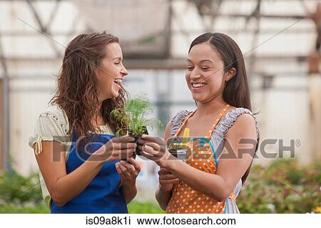 Young women holding plant in garden centre, smiling View Large Photo Image Stock Image - Young women holding plant in garden centre, smiling. Fotosearch