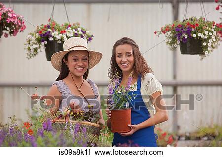 Young women holding plants in garden centre, smiling View Large Photo Image Stock Image - Young women holding plants in garden centre, smiling. Fotosearch