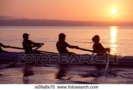Stock Image - Four people rowing at sunset. Fotosearch