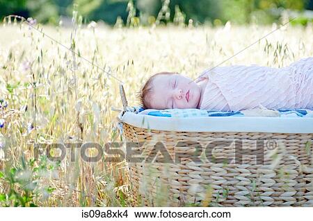 Picture - Newborn baby girl sleeping in moses basket in field. Fotosearch