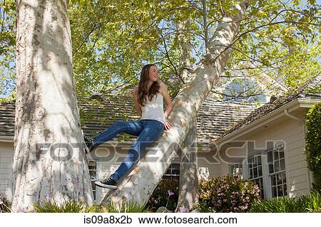 Stock Image - Teenage girl sitting in tree. Fotosearch