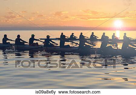 Twelve people rowing at sunset View Large Photo Image Stock Photo - Twelve people rowing at sunset. Fotosearch