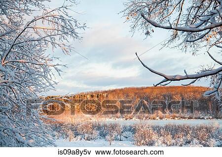 Wintry landscape scene View Large Photo Image Stock Photo - Wintry landscape scene. Fotosearch