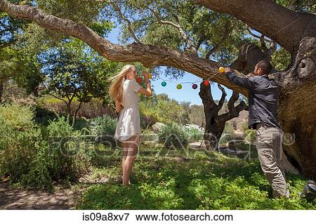 Stock Photo - Young couple hanging lanterns in tree. Fotosearch