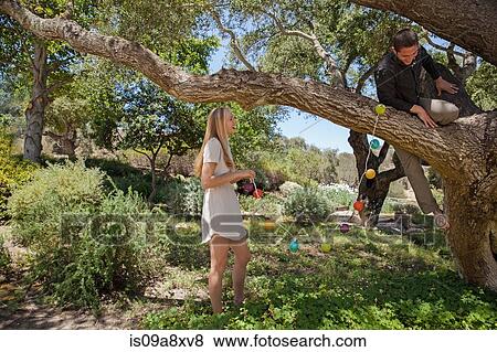 Young couple hanging lanterns in tree View Large Photo Image Stock Photo - Young couple hanging lanterns in tree. Fotosearch