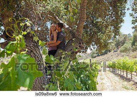 Stock Photograph - Young couple in vineyard hugging under tree. Fotosearch