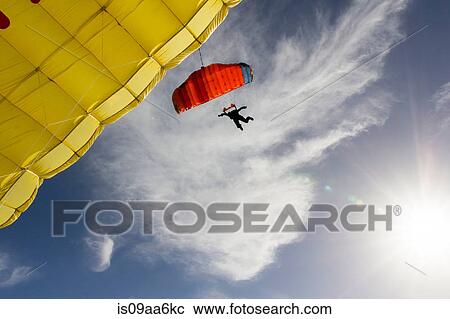 Female skydiver steering yellow parachute View Large Photo Image Stock Image - Female skydiver steering yellow parachute. Fotosearch