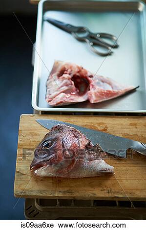 Fresh sliced fish traditional Japanese meal View Large Photo Image Stock Image - Fresh sliced fish traditional Japanese meal. Fotosearch