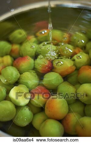 Heap of fresh green apples in water View Large Photo Image Picture - Heap of fresh green apples in water. Fotosearch