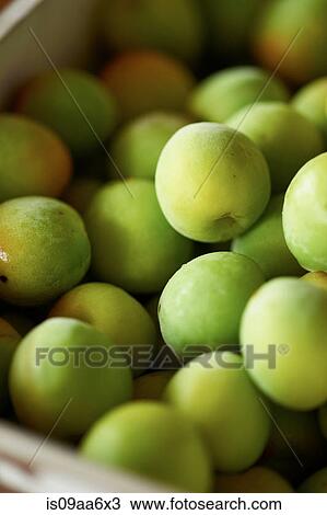 Heap of fresh green apples View Large Photo Image Stock Image - Heap of fresh green apples. Fotosearch