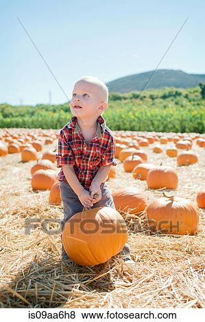 Male toddler lifting up pumpkin View Large Photo Image Stock Photo - Male toddler lifting up pumpkin. Fotosearch
