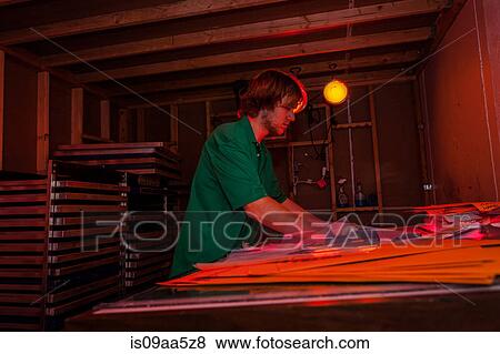 Man working in darkroom in screen printing workshop View Large Photo Image Stock Photo - Man working in darkroom in screen printing workshop. Fotosearch