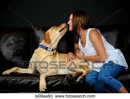 Portrait of labrador retriever and owner on sofa View Large Photo Image Stock Image - Portrait of labrador retriever and owner on sofa. Fotosearch