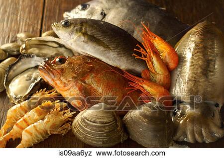 Stock Photo - Still life with selection of seafood. Fotosearch