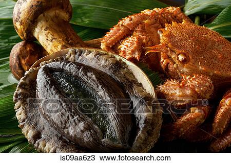 Stock Image - Still life with selection of shellfish and mushrooms. Fotosearch