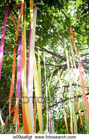 Tree with tied color ribbons View Large Photo Image Stock Photograph - Tree with tied color ribbons. Fotosearch