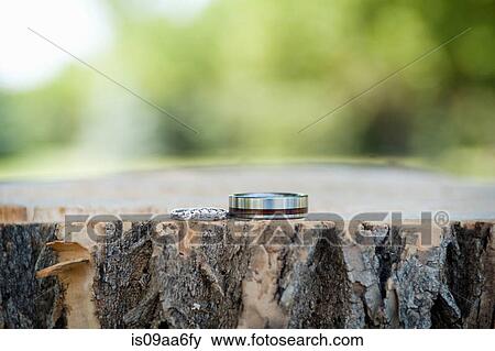 Two silver wedding rings displayed on tree trunk View Large Photo Image Stock Photo - Two silver wedding rings displayed on tree trunk. Fotosearch