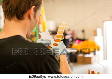 Stock Photograph - Worker looking at swatch in screen print workshop. Fotosearch