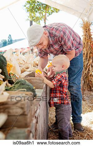 Stock Image - Young father and son looking at squashes. Fotosearch