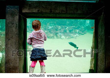 Stock Photography - Young girl looking at fish in aquarium. Fotosearch