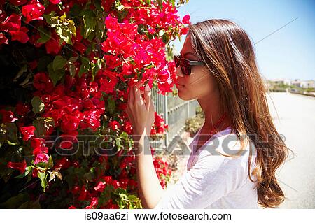 Stock Image - Young woman smelling flowers, Palos Verdes, California, USA. Fotosearch
