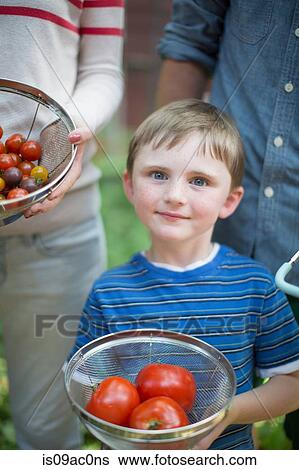 Stock Photograph - Boy holding sieve with tomatoes. Fotosearch