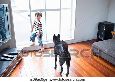 Stock Image - Boy in living room with pet dog. Fotosearch