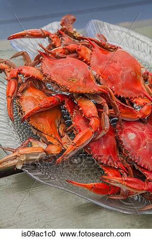 Cooked crabs View Large Photo Image Stock Image - Cooked crabs. Fotosearch