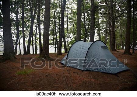 Lone tent in clearing, Bath, Maine, USA View Large Photo Image Stock Image - Lone tent in clearing, Bath, Maine, USA. Fotosearch