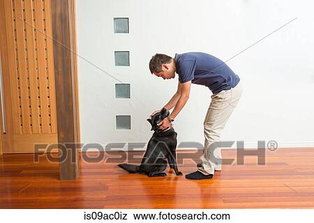 Man stroking his pet dog View Large Photo Image Stock Photo - Man stroking his pet dog. Fotosearch