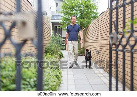 Picture - Man walking his pet dog. Fotosearch
