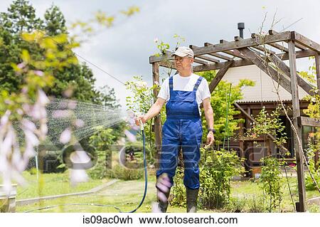 Man watering plants View Large Photo Image Stock Image - Man watering plants. Fotosearch