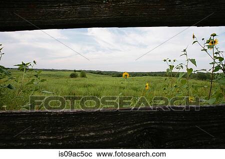 Stock Image - Rural field landscape seen through fence. Fotosearch